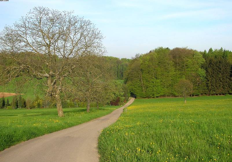 St. Chrischona ( CH )   30. Aprile 2005